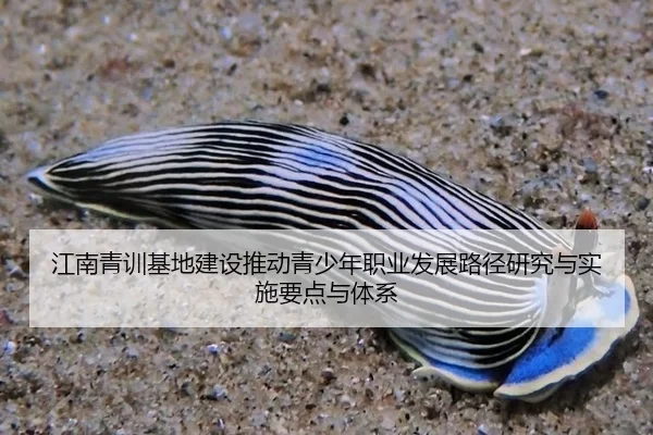 江南青训基地建设推动青少年职业发展路径研究与实施要点与体系